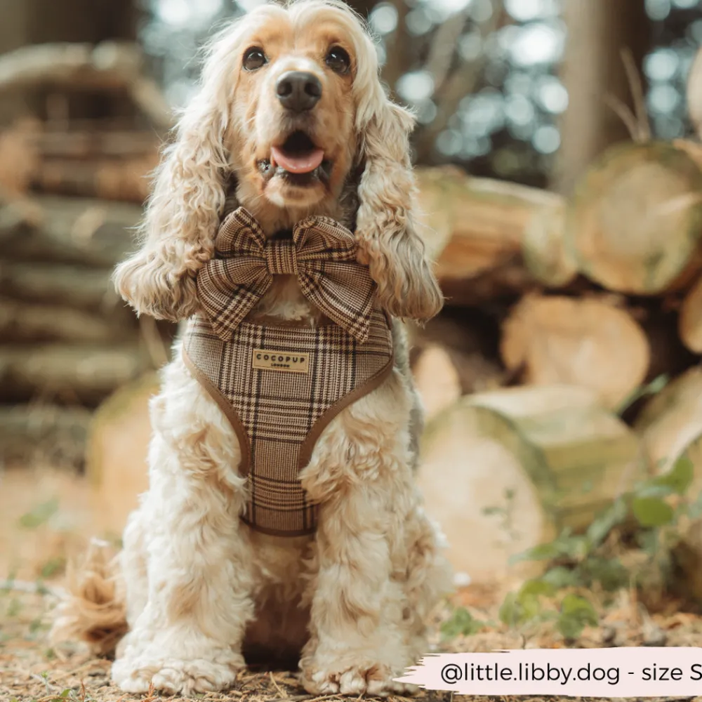 Cocopup Adjustable Neck Harnesses-Pup Plaid Adjustable Neck HARNESS