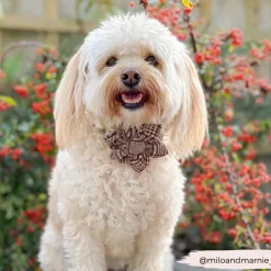 Cocopup Collar Flowers | Collar Flowers-Pup Plaid Collar Flower