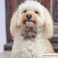 Cocopup Collar Flowers | Collar Flowers-Pup Plaid Collar Flower