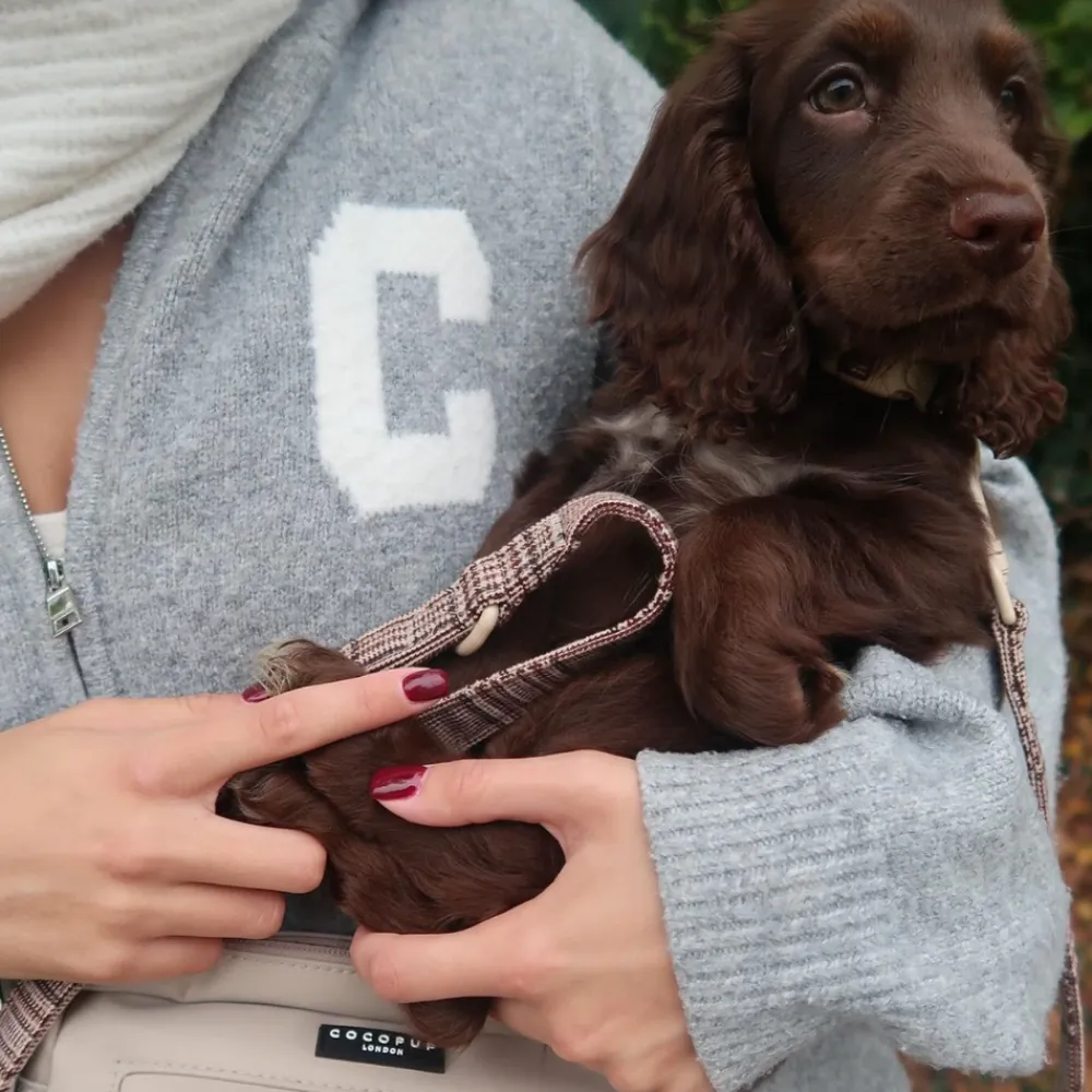 Cocopup Leads-Pup Plaid Lead