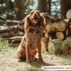 Cocopup Sailor Bow Ties | Bow Ties-Pup Plaid Sailor Bow Tie
