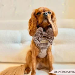 Cocopup Sailor Bow Ties | Bow Ties-Pup Plaid Sailor Bow Tie