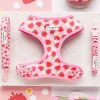 Cocopup Adjustable Harness Bundles-Pupberry Fields Adjustable Neck Harness, Lead & Collar Bundle