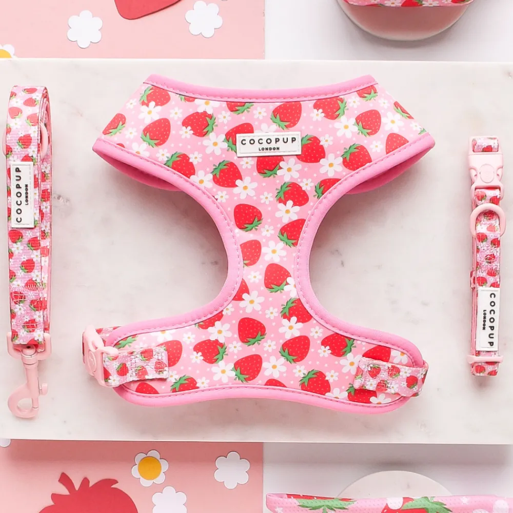 Cocopup Adjustable Harness Bundles-Pupberry Fields Adjustable Neck Harness, Lead & Collar Bundle