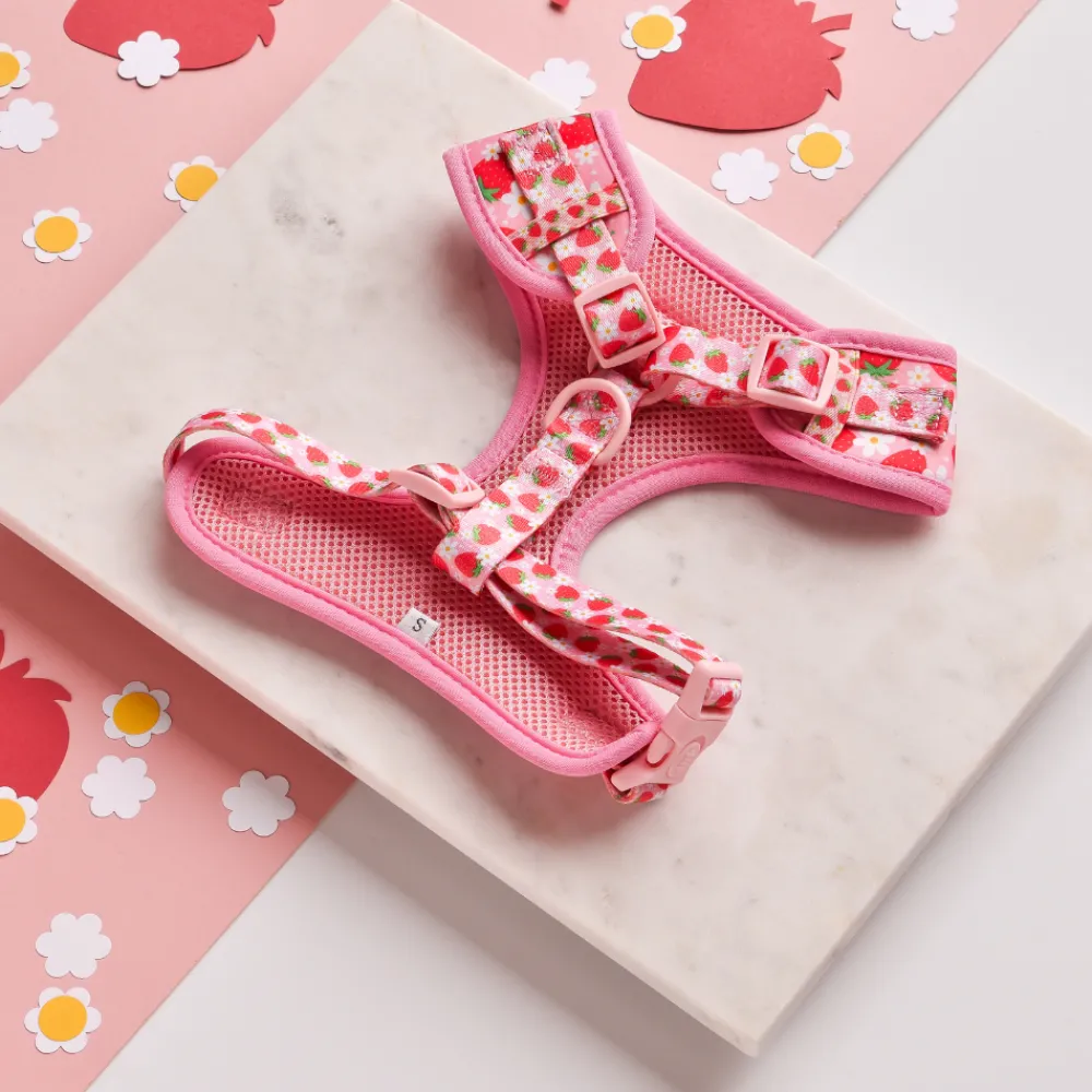 Cocopup Adjustable Neck Harnesses-Pupberry Fields Adjustable Neck HARNESS
