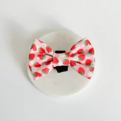 Cocopup Bow Ties-Pupberry Fields Bow Tie