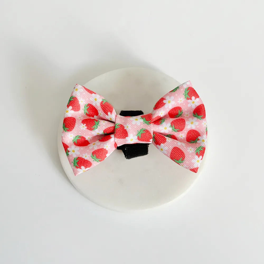 Cocopup Bow Ties-Pupberry Fields Bow Tie