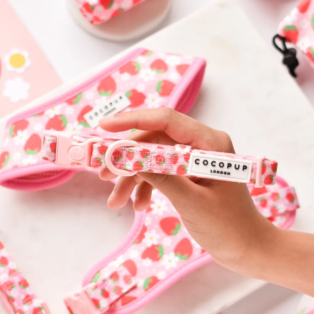 Cocopup Collars | Puppy Leads & Collars-Pupberry Fields COLLAR
