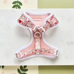 Cocopup Adjustable Neck Harnesses-Quilted Cute Flowers Adjustable Neck HARNESS