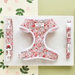Cocopup Adjustable Neck Harnesses-Quilted Cute Flowers Adjustable Neck HARNESS
