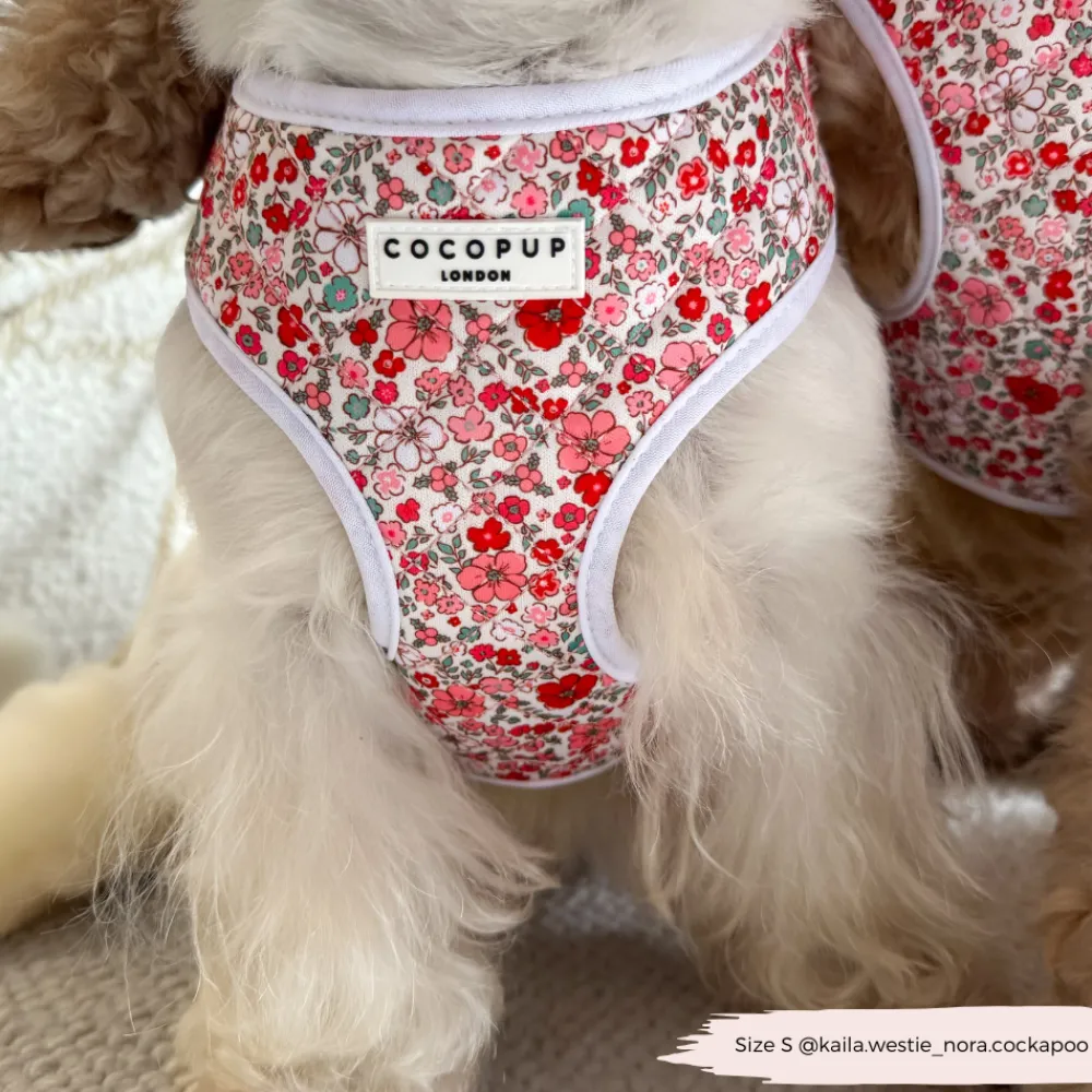 Cocopup Adjustable Neck Harnesses-Quilted Cute Flowers Adjustable Neck HARNESS