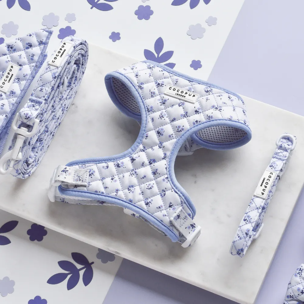 Cocopup Adjustable Harness Bundles-Quilted Ditsy Floral Periwinkle Adjustable Neck Harness, Lead & Collar Bundle