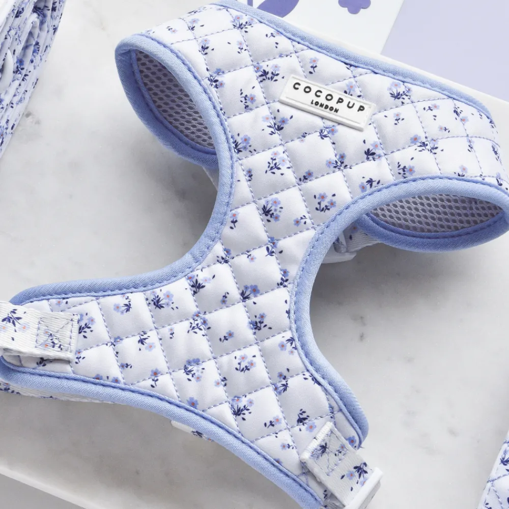 Cocopup Adjustable Harness Bundles-Quilted Ditsy Floral Periwinkle Adjustable Neck Harness, Lead & Collar Bundle