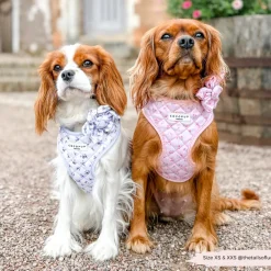 Cocopup Adjustable Neck Harnesses-Quilted Ditsy Floral Periwinkle Adjustable Neck HARNESS