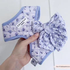 Cocopup Adjustable Harness Bundles-Quilted Ditsy Floral Periwinkle Adjustable Neck Harness, Lead & Collar Bundle
