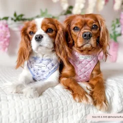 Cocopup Adjustable Neck Harnesses-Quilted Ditsy Floral Periwinkle Adjustable Neck HARNESS