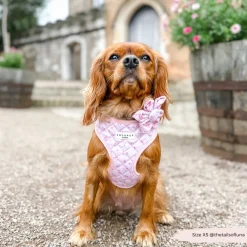 Cocopup Collar Flowers-Quilted Ditsy Floral Pink Collar Flower