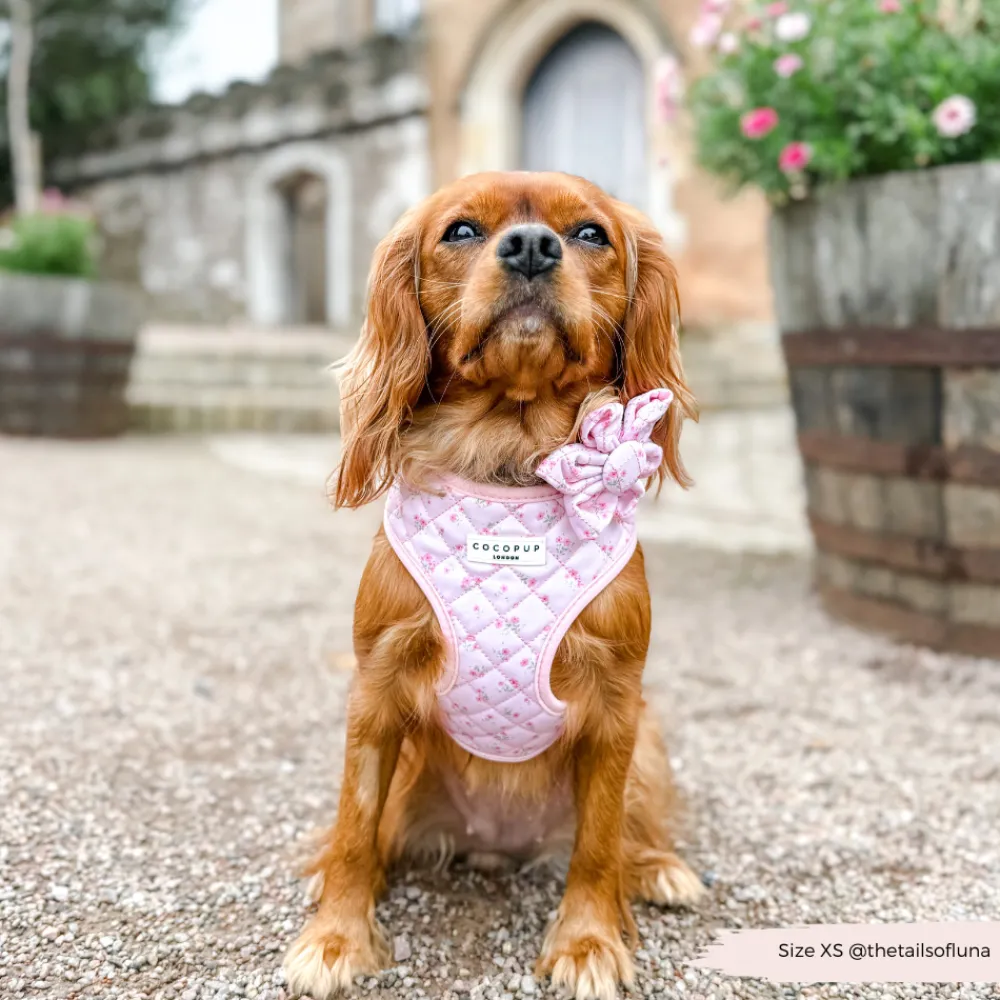 Cocopup Collar Flowers-Quilted Ditsy Floral Pink Collar Flower