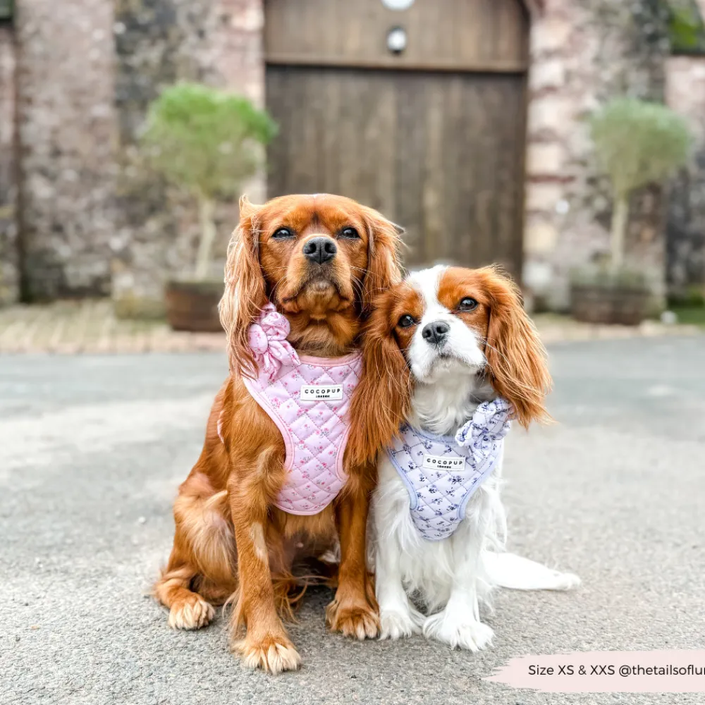 Cocopup Collar Flowers-Quilted Ditsy Floral Pink Collar Flower