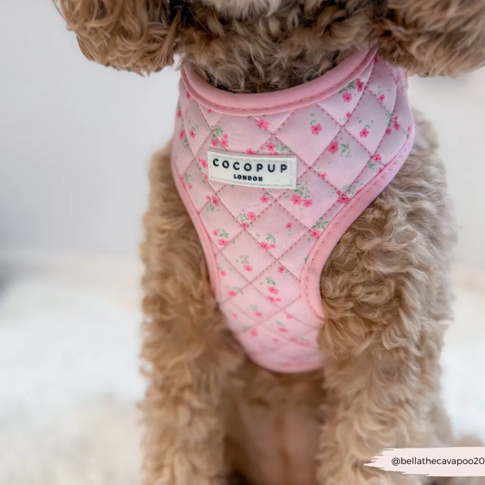 Cocopup Adjustable Neck Harnesses-Quilted Ditsy Floral Pink Adjustable Neck HARNESS