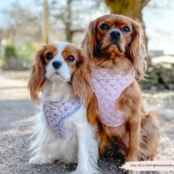 Cocopup Adjustable Harness Bundles-Quilted Ditsy Floral Pink Adjustable Neck Harness, Lead & Collar Bundle