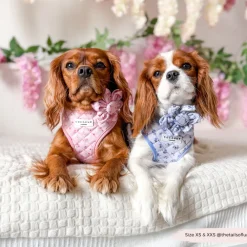 Cocopup Adjustable Neck Harnesses-Quilted Ditsy Floral Pink Adjustable Neck HARNESS
