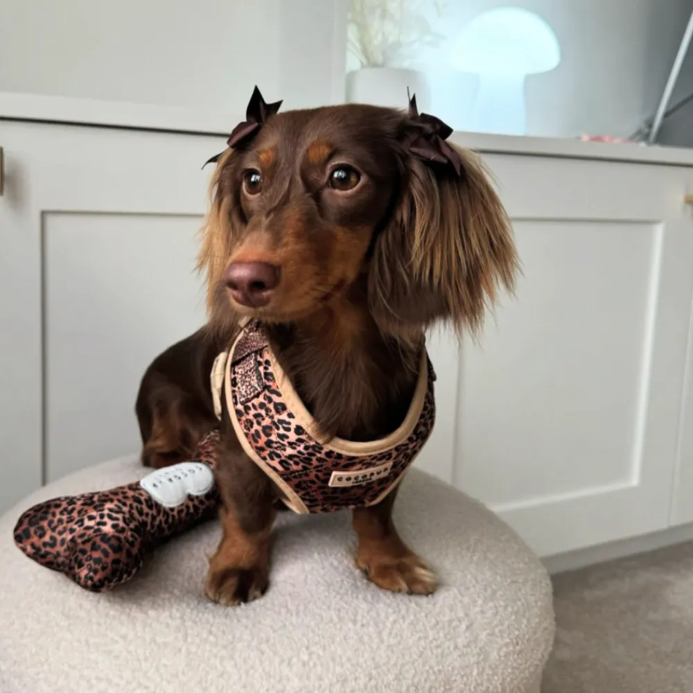 Cocopup Bone Toys 🦴-Quilted Leopard Bone Toy