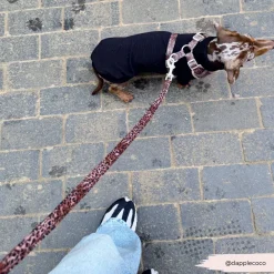 Cocopup Leads-Quilted Leopard Pup Lead