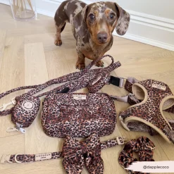 Cocopup Leads-Quilted Leopard Pup Lead