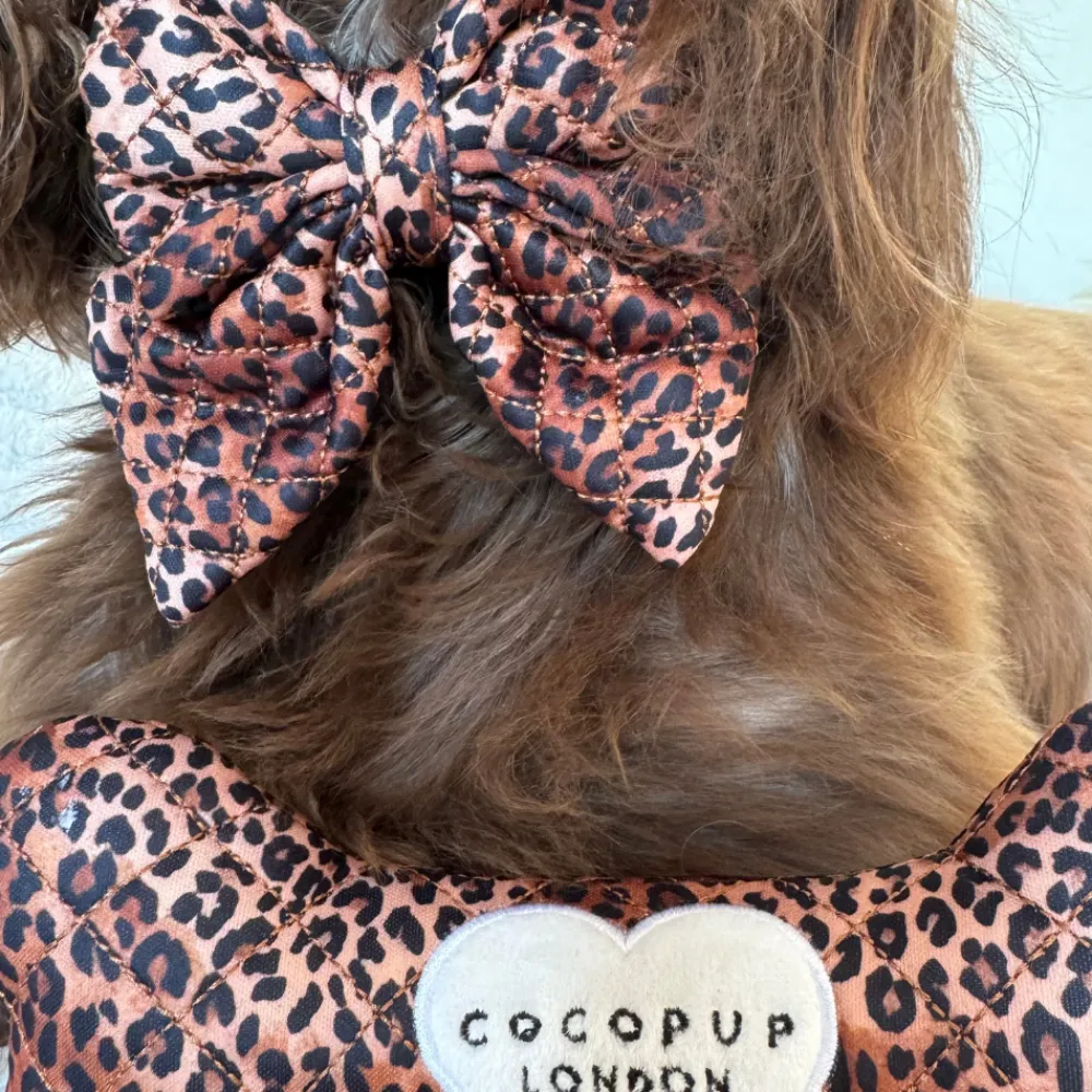 Cocopup Sailor Bow Ties-Quilted Leopard Pup Sailor Bow Tie