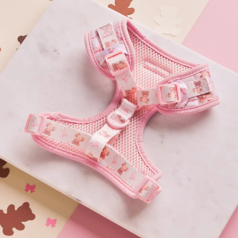 Cocopup Adjustable Harness Bundles-Quilted Thea Teddy Adjustable Neck Harness, Lead & Collar Bundle