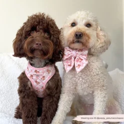 Cocopup Adjustable Neck Harnesses-Quilted Thea Teddy Adjustable Neck HARNESS