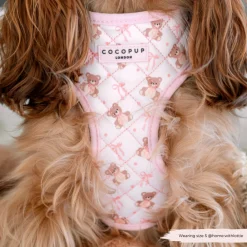 Cocopup Adjustable Harness Bundles-Quilted Thea Teddy Adjustable Neck Harness, Lead & Collar Bundle