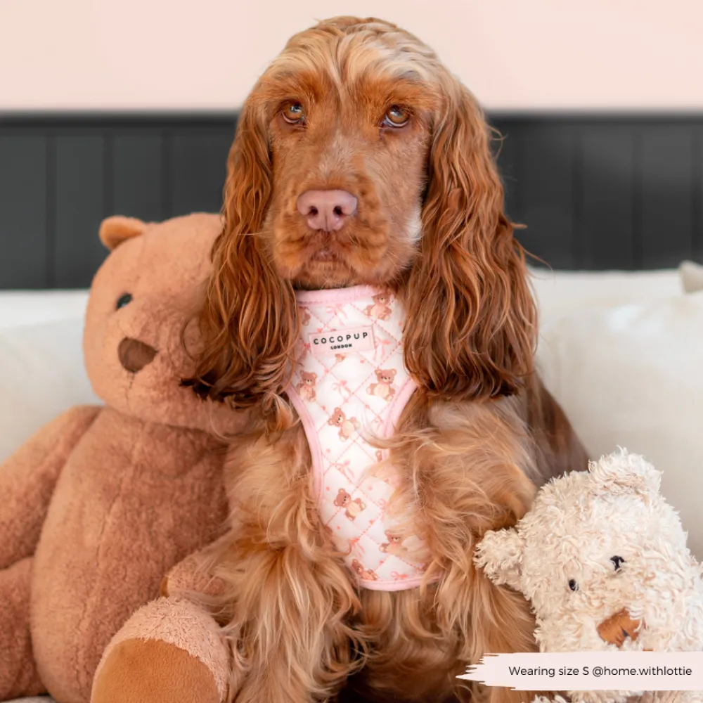 Cocopup Adjustable Neck Harnesses-Quilted Thea Teddy Adjustable Neck HARNESS