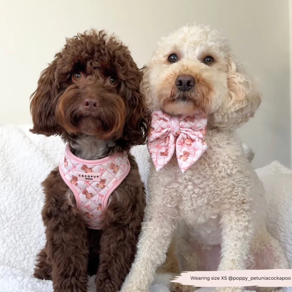 Cocopup Sailor Bow Ties-Quilted Thea Teddy Sailor Bow Tie