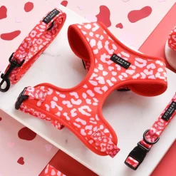 Cocopup Adjustable Harness Bundles-Red & Pink Leopard Adjustable Neck Harness, Lead & Collar Bundle