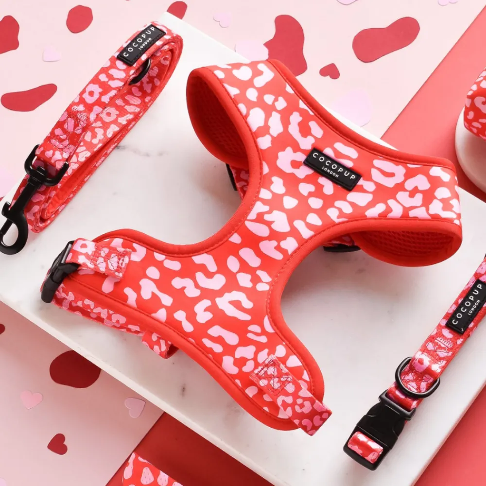 Cocopup Adjustable Harness Bundles-Red & Pink Leopard Adjustable Neck Harness, Lead & Collar Bundle
