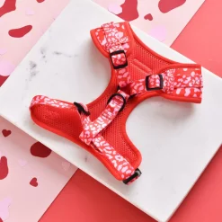 Cocopup Adjustable Harness Bundles-Red & Pink Leopard Adjustable Neck Harness, Lead & Collar Bundle