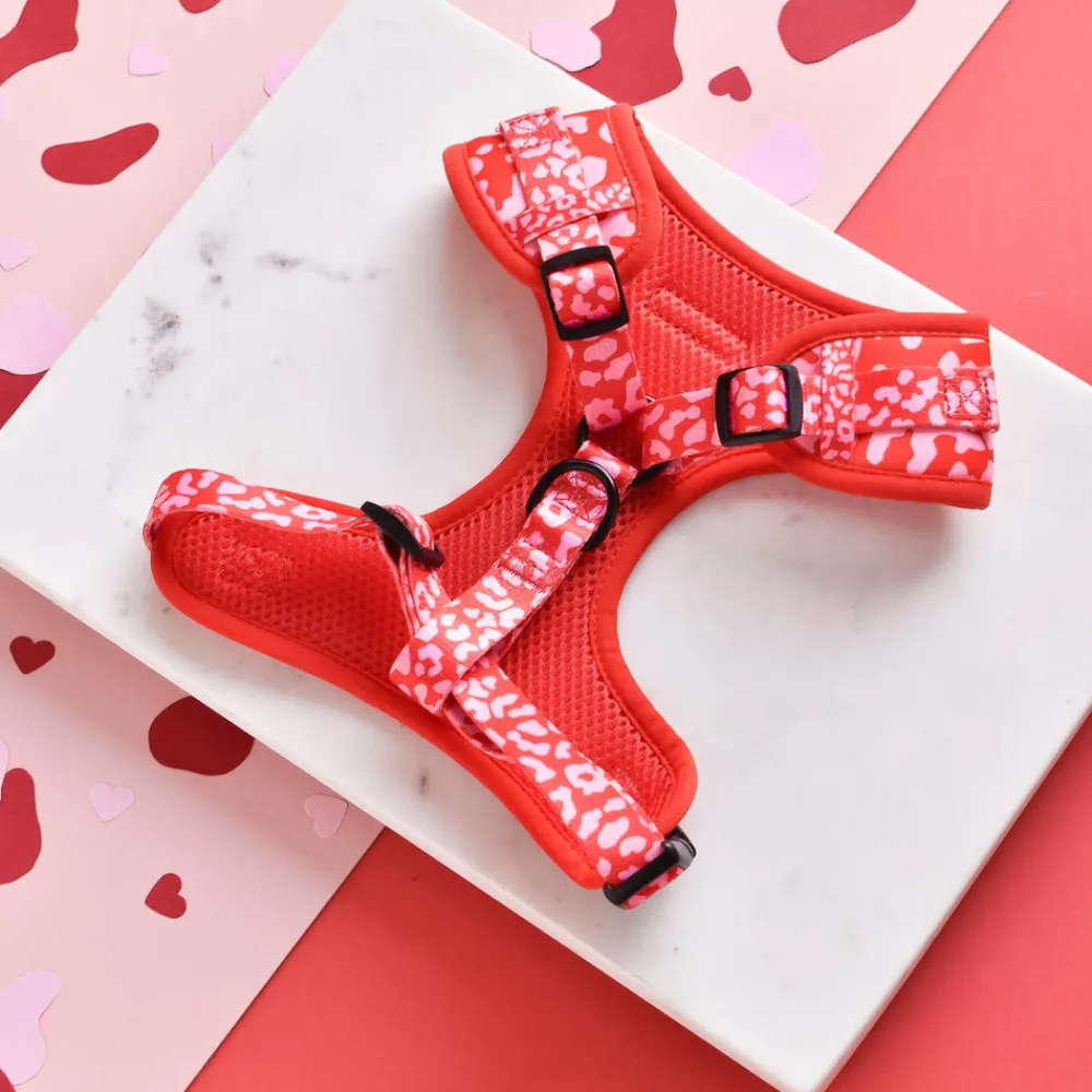 Cocopup Adjustable Harness Bundles-Red & Pink Leopard Adjustable Neck Harness, Lead & Collar Bundle