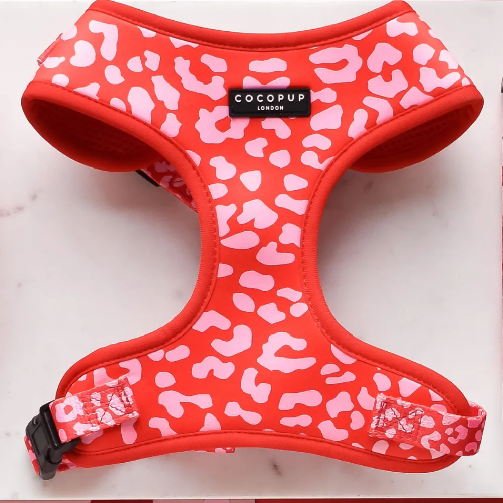 Cocopup Adjustable Harness Bundles-Red & Pink Leopard Adjustable Neck Harness, Lead & Collar Bundle