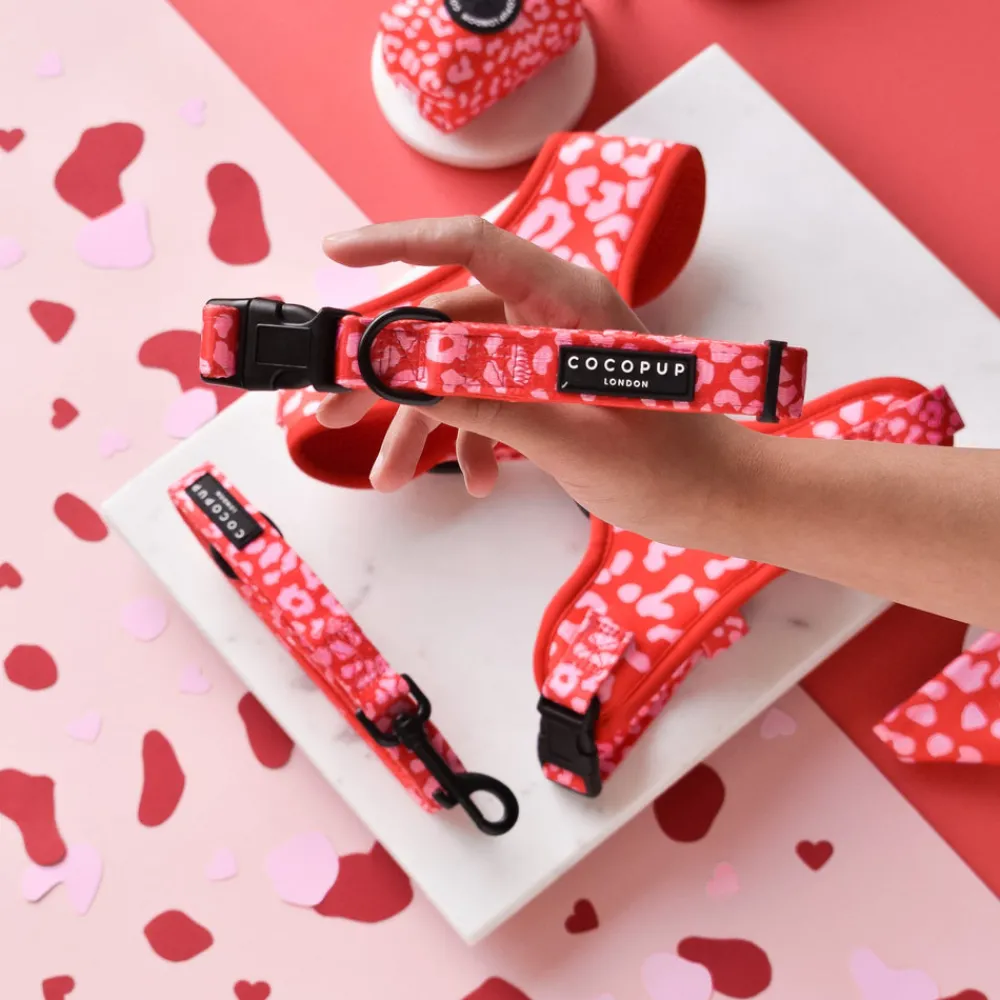 Cocopup Adjustable Harness Bundles-Red & Pink Leopard Adjustable Neck Harness, Lead & Collar Bundle