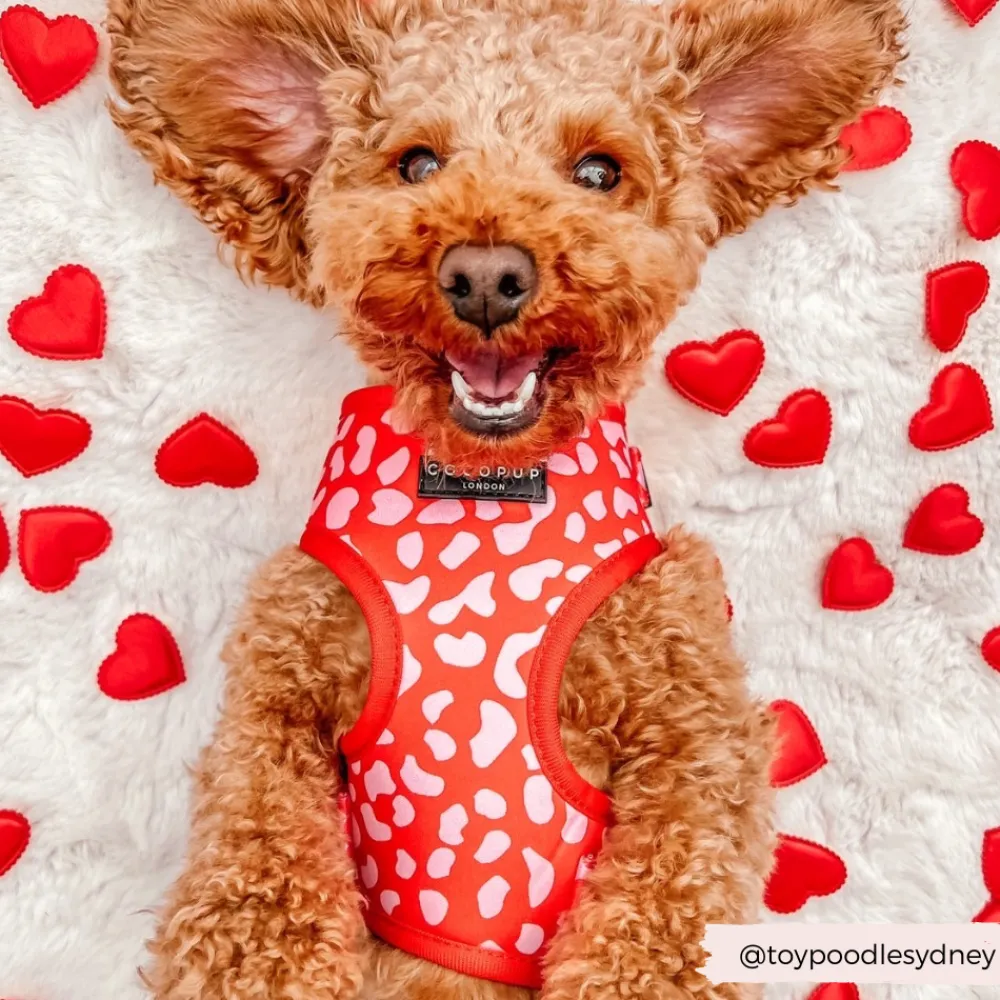 Cocopup Adjustable Neck Harnesses-Red & Pink Leopard Adjustable Neck HARNESS