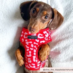 Cocopup Adjustable Neck Harnesses-Red & Pink Leopard Adjustable Neck HARNESS