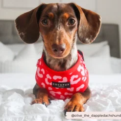 Cocopup Adjustable Neck Harnesses-Red & Pink Leopard Adjustable Neck HARNESS