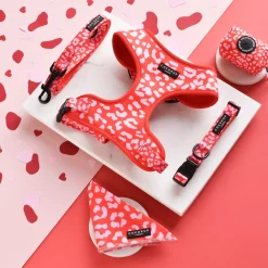 Cocopup Bow Ties-Red & Pink Leopard Bow Tie