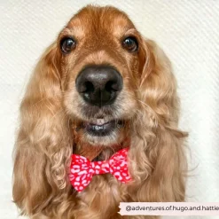 Cocopup Bow Ties-Red & Pink Leopard Bow Tie