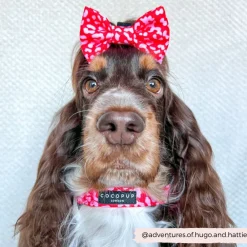Cocopup Bow Ties-Red & Pink Leopard Bow Tie