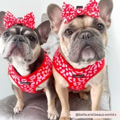 Cocopup Bow Ties-Red & Pink Leopard Bow Tie