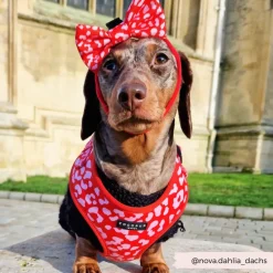 Cocopup Bow Ties-Red & Pink Leopard Bow Tie