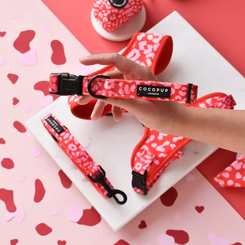 Cocopup Collars-Red & Pink Leopard COLLAR